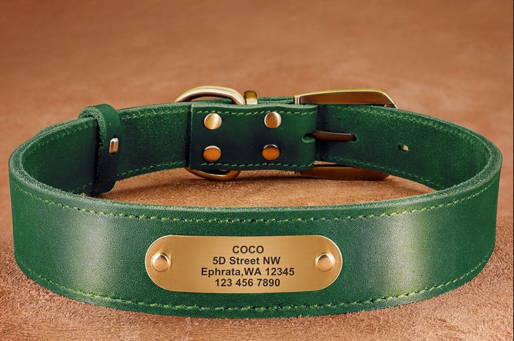 Personalized Engraved Dog Collar