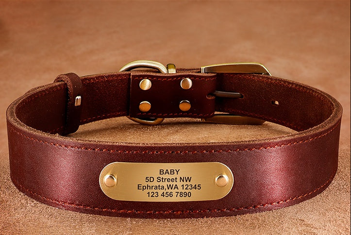 Personalized Engraved Dog Collar