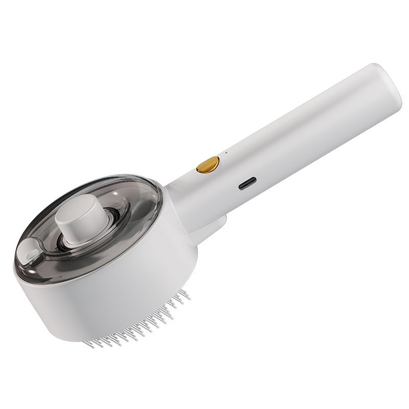 Gentle Grooming Steam Brush
